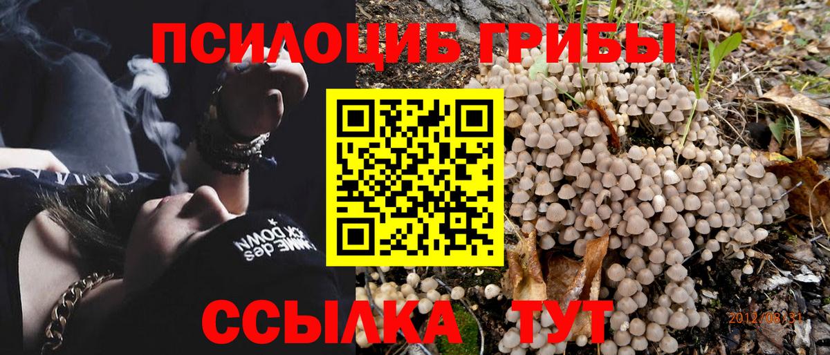 Псилоцибиновые грибы ЛСД Павловский Посад